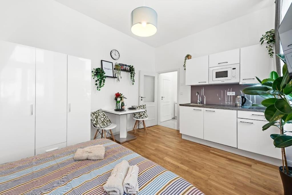 Boho Brand New Studio *